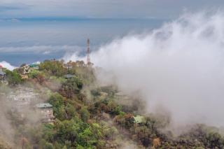 Kasauli Star View Near Mall Road - Kasauli - 4