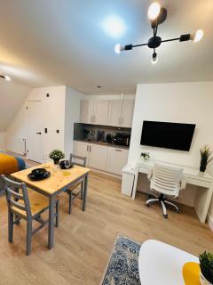 R1 - Luxury Self-Contained Studio Apartment near QE Hospital - Birmingham - 7