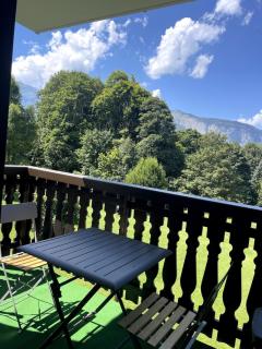 Beautiful renovated 40m2 mountain view apartment in Les Carroz, 3 minutes walk from city center - 5