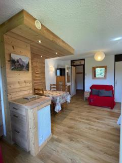 Beautiful renovated 40m2 mountain view apartment in Les Carroz, 3 minutes walk from city center - 9