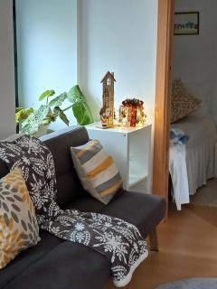 Cantinho da Fonte -  - 3