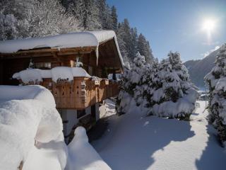 Modernes Chalet mit Sauna, Whirlpool und Bergblick - 9