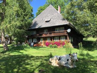 Romantisches Schwarzwälder Bauernhäuschen Hüsli am Griesbachhof - Titisee-Neustadt - 1