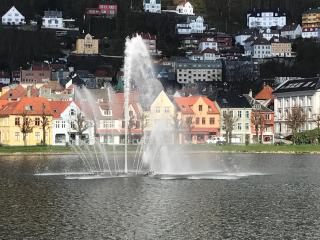 Lake view apartment in center of Bergen - 3 bedrooms - Bergen - 0
