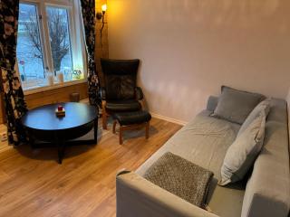 Lake view apartment in center of Bergen - 3 bedrooms - Bergen - 5