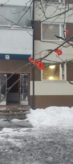 Cozy studio in South Tuusula near airport - Hyrylä - 2