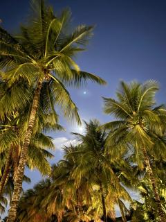 Suíte privativa na Barra da Tijuca próxima à praia - 4