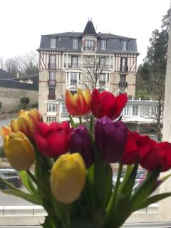 Charmant T2 a deux pas des Thermes - Bagnoles de l'Orne - 4