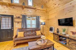 Romantic Log Cabin in the Smokies with Fire Pit! - Murphy - 7