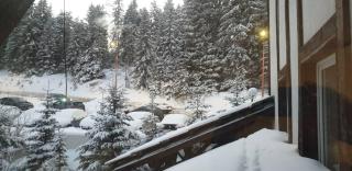 Apartman Sivi Vuk Kopaonik - Kopaonik - 2