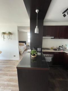 Espectacular departamento a cuadras de La Moneda - 6