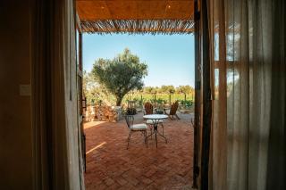 Hábimo - Valle de Guadalupe - 1