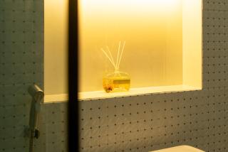 Turtle Tales-Mafueang,Turtle Beach,Phang-Nga - 1