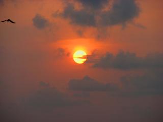 Vibe-inn Home Stay - Cochin - 0