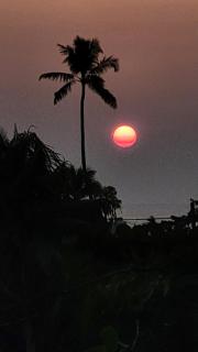 Vibe-inn Home Stay - Cochin - 1