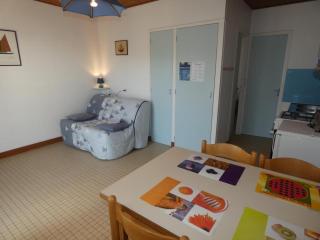 Maison en forêt à 10 min de la plage, animaux admis, parking - FR-1-540-299 - Notre-Dame-de-Monts - 9