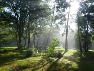 Maison bois avec piscine privée et Wifi, animaux admis - FR-1-616-447 - Aubas - 7
