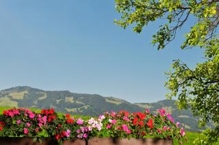 Hotel Alpenblick - Fischen - 9