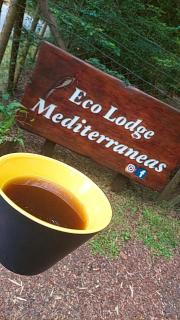 Eco lodge mediterraneas - Caburgua - 5