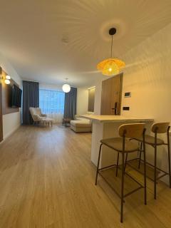 Massif Grand Chalet Apartments - Poiana Brasov - 1