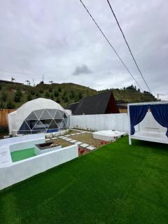 Glamping dome alisha - 1