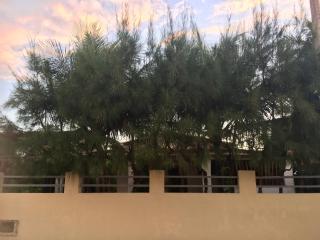 Casa na Praia de Muriu - Andréia - Muriú - 9