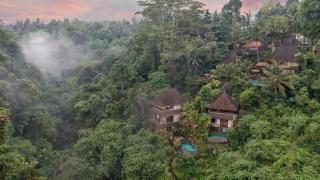 Bidadari Private Villas & Retreat - Ubud - 8