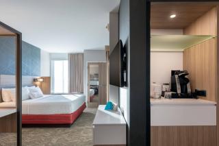 SpringHill Suites by Marriott Chattanooga South/Ringgold - Ringgold - 1