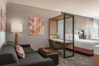 SpringHill Suites by Marriott Phoenix West/Avondale - Avondale - 4