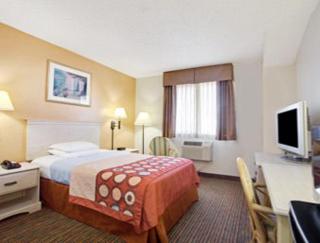 Super8 by Wyndham NEARBY Clearwater St Petersburg International Airport - 5