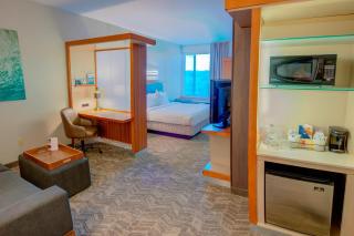 SpringHill Suites by Marriott Macon - Macon - 5
