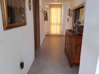 Farmhouse on an olive grove - 8