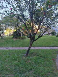 Apartamento dúplex a 150m da praia - 4
