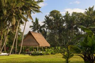 The Ubud Village Resort & Spa - 4