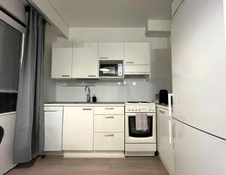 Modernly Renovated Northern Lapland Home, Free WiFi & Parking - 4