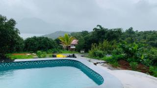 Mullberry Bluebird - 9