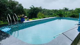Mullberry Bluebird - Mulshi - 6