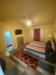 Charming 3 Bed 2 Bath home in NE San Antonio - San Antonio - 6