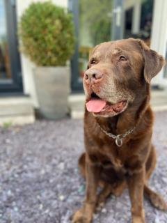 The Lodge - Woodplumpton - 4