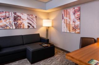 SpringHill Suites by Marriott Pittsburgh North Shore - Pittsburgh - 5