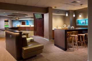 SpringHill Suites Chicago Lincolnshire - Lincolnshire - 8