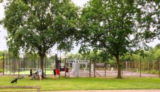 Hestehaven Camping - Glesborg - 6