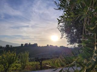 Alchemilla Bed & Breakfast - Offida - 1