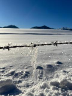 ''die Bergerin'' | Appartements Schladming - Schladming - 2