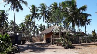 Musa Home Stay - Sumba - 6