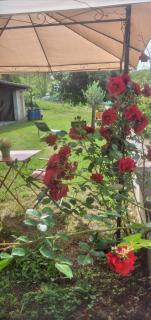La Casa Rossa -Dimora di campagna - Montechiaro D'acqui - 8