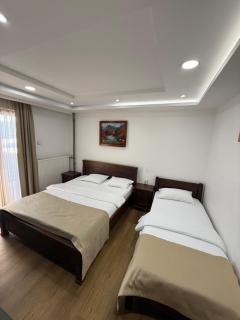 Hotel Pavlović - Žabljak - 9