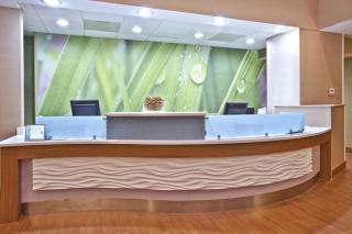 Springhill Suites by Marriott Chicago Elmhurst Oakbrook Area - Elmhurst - 3