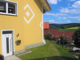Fewo Furtwangen - Furtwangen - 9