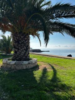 Dalmatia Camp 84 Mobil house - Privlaka - 0
